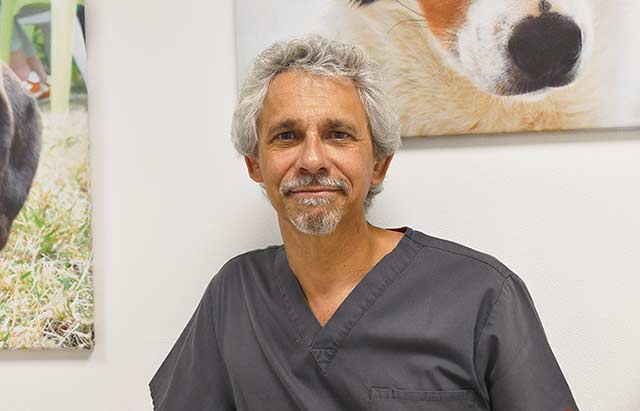 Vétérinaire Docteur Antoine Bourdon